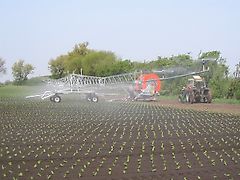 Briggs R50/2 Beregeningsboom