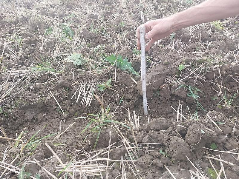 BM Maschinenbau Flach Grubber mit Striegel für besonders schonende Bodenbearbeitung Bio/ Öko
