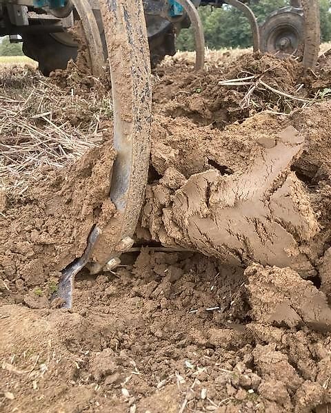 BM Maschinenbau Flach Grubber mit Striegel für besonders schonende Bodenbearbeitung Bio/ Öko