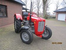 Massey Ferguson FE 35 Spezial