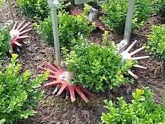 HAK HAVELAAR LTC-Serie LTC1-LTC2/UNIVERSAL ( im Förderprogramm 40 % enthalten )