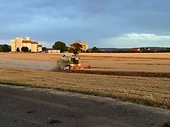 Claas Dominator Mega 218