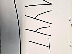 Strautmann TERRA-VITESSE