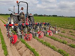 HAK HAVELAAR XHR Serie ; Zwiebel ; Karotten ( auch für Zwillingsreihen)