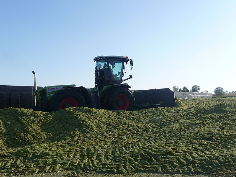 STEIMLE MAISSCHIEBESCHILD XERION