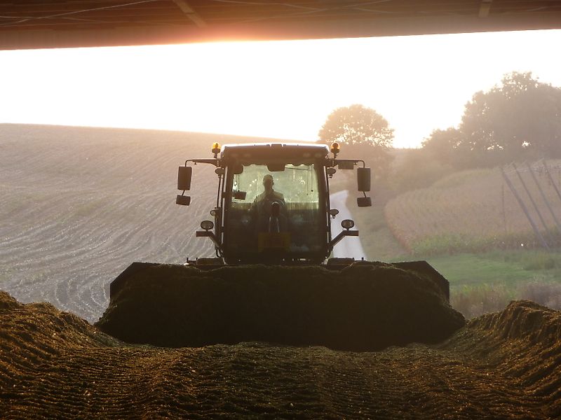 STEIMLE MAISSCHIEBESCHILD XERION