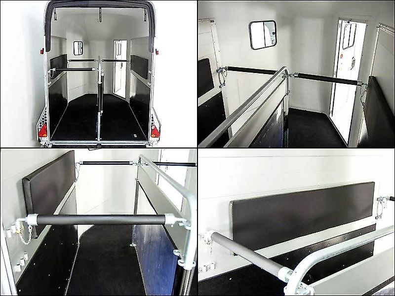 Cheval Liberte Pferdeanhänger GOLD Origins